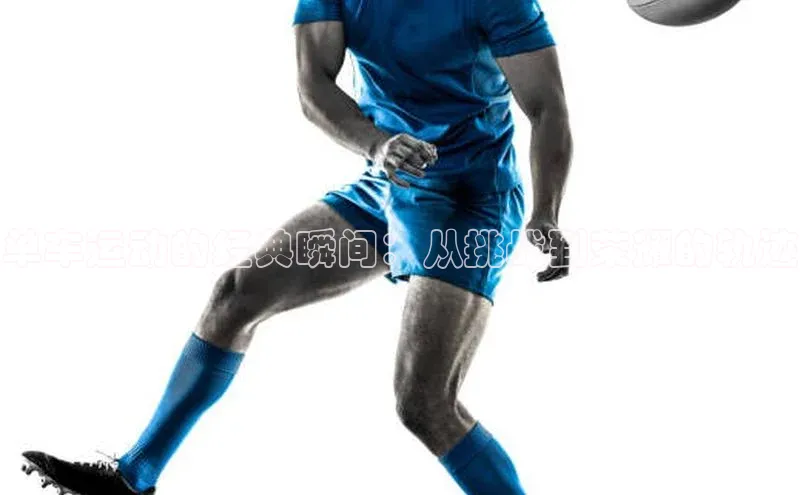 耀世娱乐平台登录