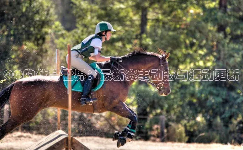 耀世娱乐app登录入口