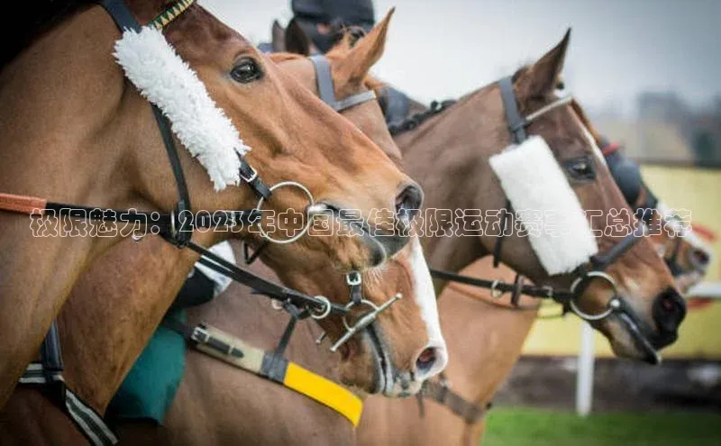耀世娱乐平台注册地址