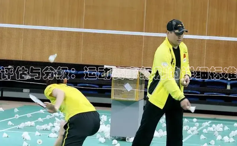 耀世平台官网登录入口